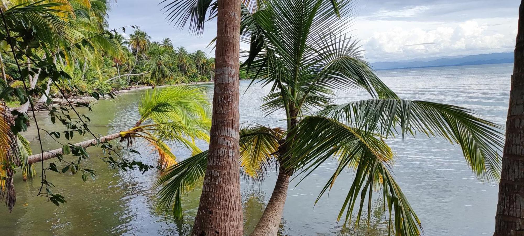 Bambu Lounge Bocas Hostel ボカス・タウン エクステリア 写真