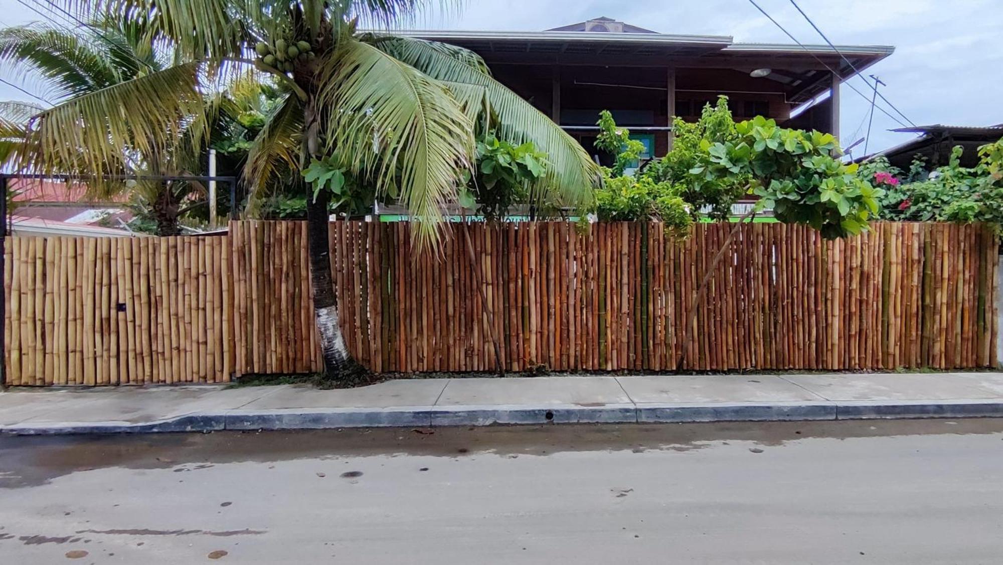 Bambu Lounge Bocas Hostel ボカス・タウン エクステリア 写真