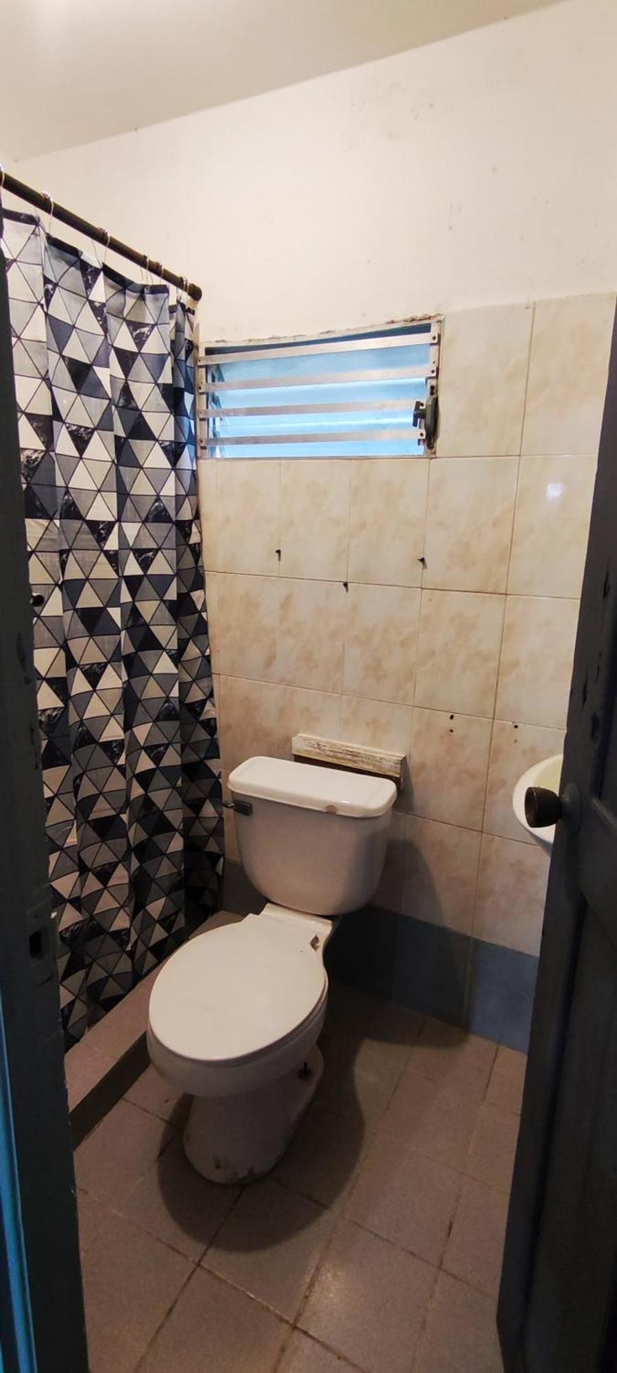 Bambu Lounge Bocas Hostel ボカス・タウン エクステリア 写真