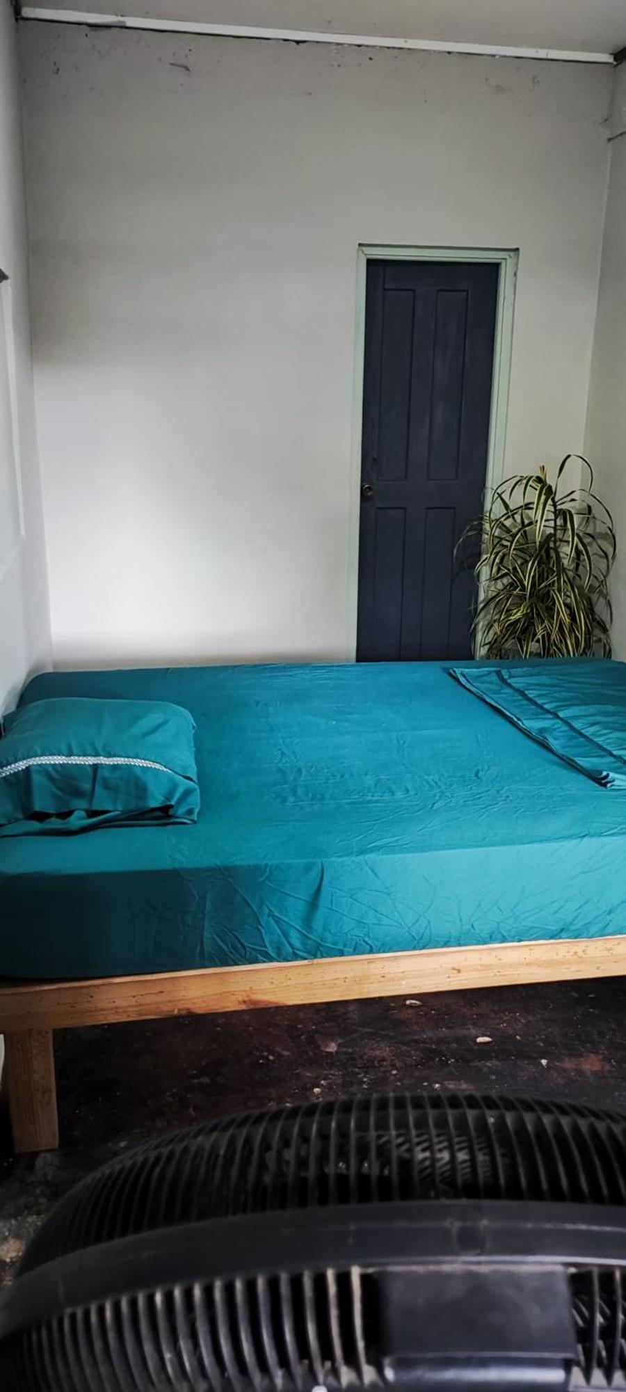 Bambu Lounge Bocas Hostel ボカス・タウン エクステリア 写真
